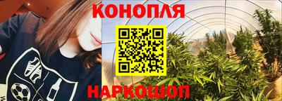 a pvp Можайск