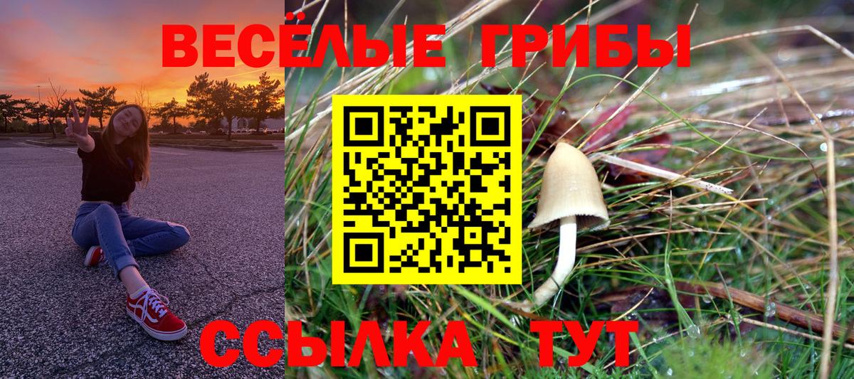 Россошь  Галлюциногенные грибы ЛСД  как найти закладки  Вход с VPN  Галлюциногенные грибы ЛСД 